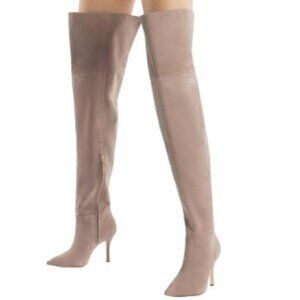 Larroude Kate Over the Knee Sleek Modern Thigh High Suede Boot Size 8.5